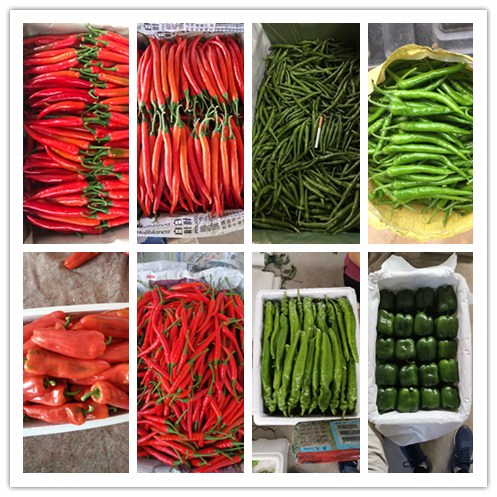 beat·365(中国)唯一官方网站