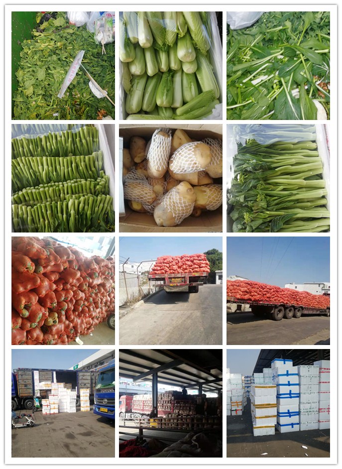 beat·365(中国)唯一官方网站