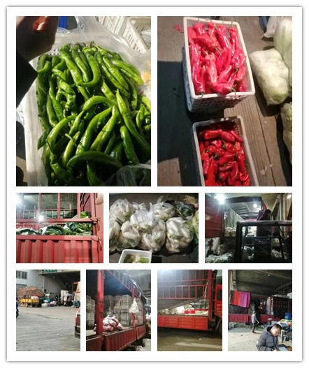 beat·365(中国)唯一官方网站