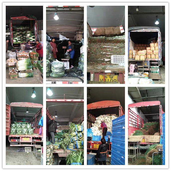 beat·365(中国)唯一官方网站