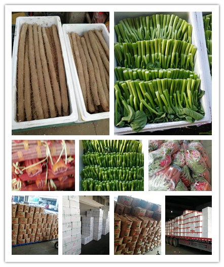 beat·365(中国)唯一官方网站