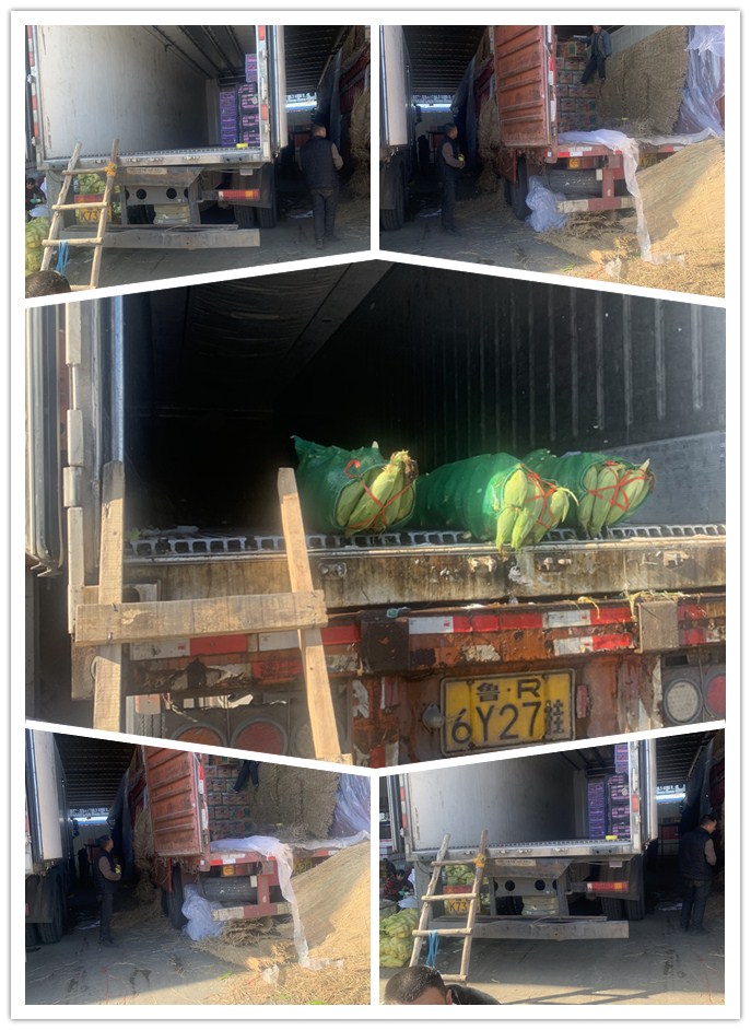 beat·365(中国)唯一官方网站