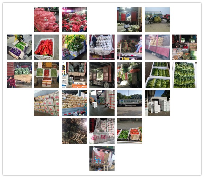 beat·365(中国)唯一官方网站