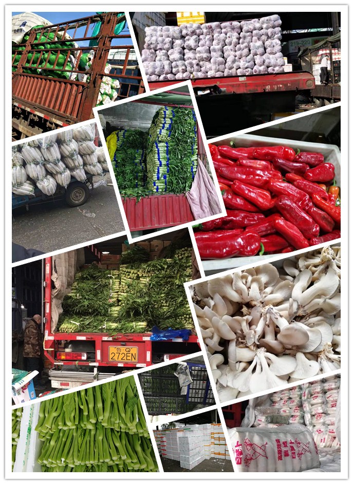 beat·365(中国)唯一官方网站