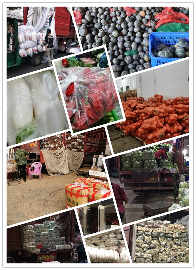 beat·365(中国)唯一官方网站