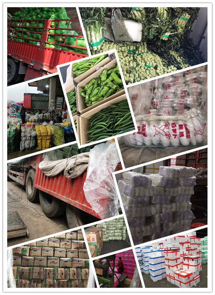 beat·365(中国)唯一官方网站