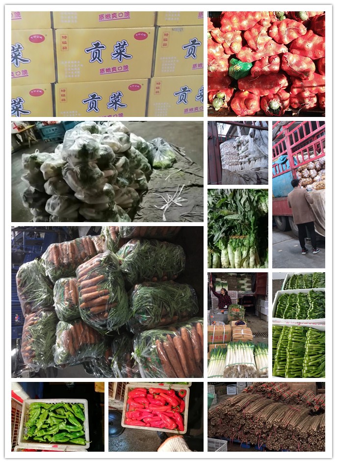 beat·365(中国)唯一官方网站