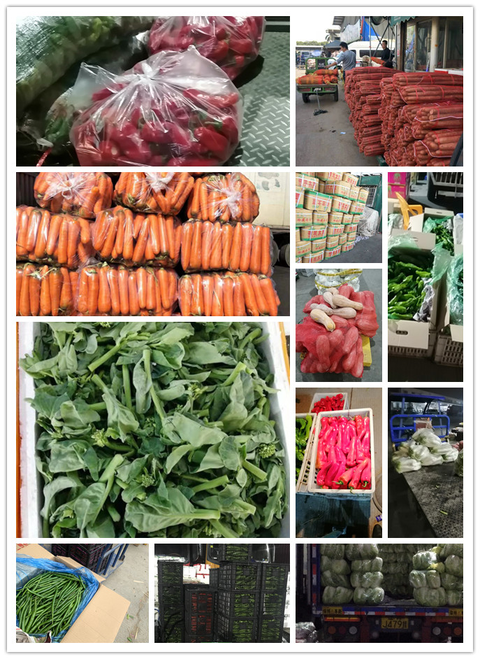 beat·365(中国)唯一官方网站