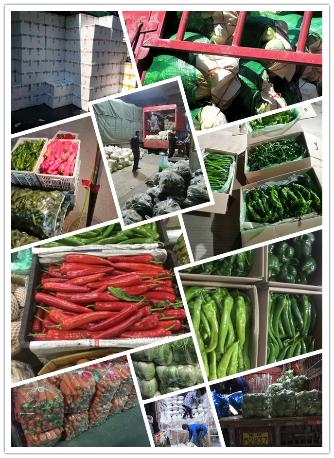 beat·365(中国)唯一官方网站