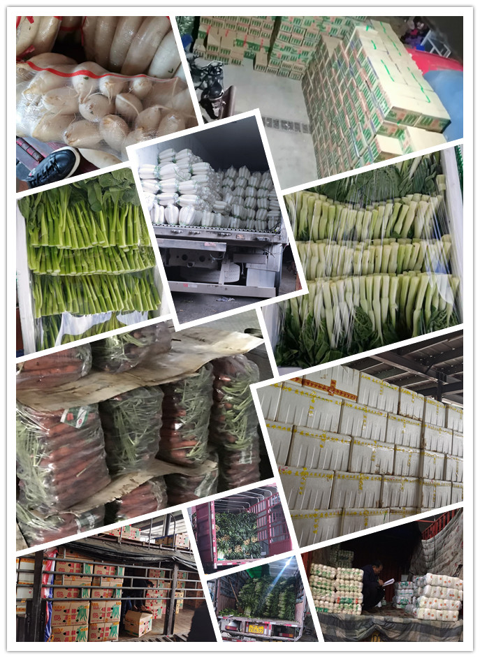 beat·365(中国)唯一官方网站