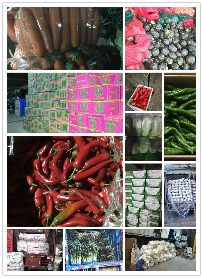 beat·365(中国)唯一官方网站