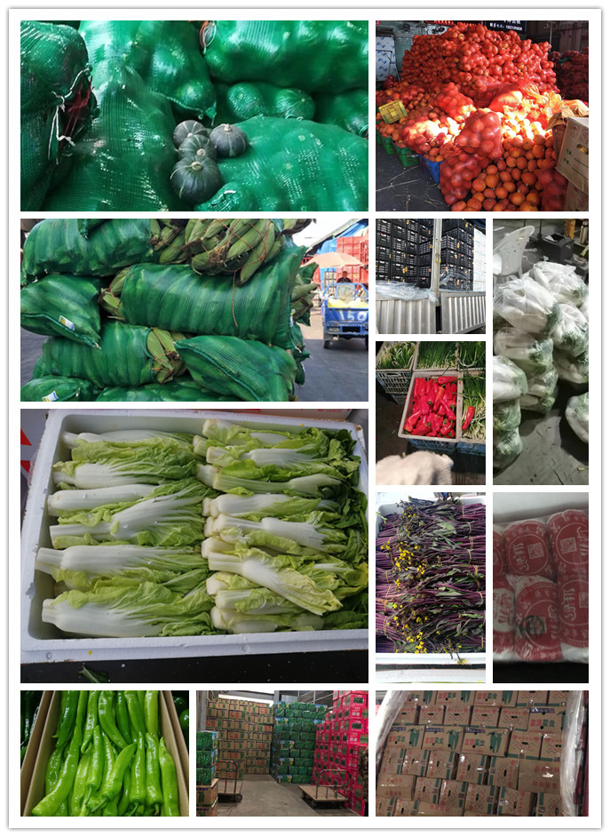 beat·365(中国)唯一官方网站