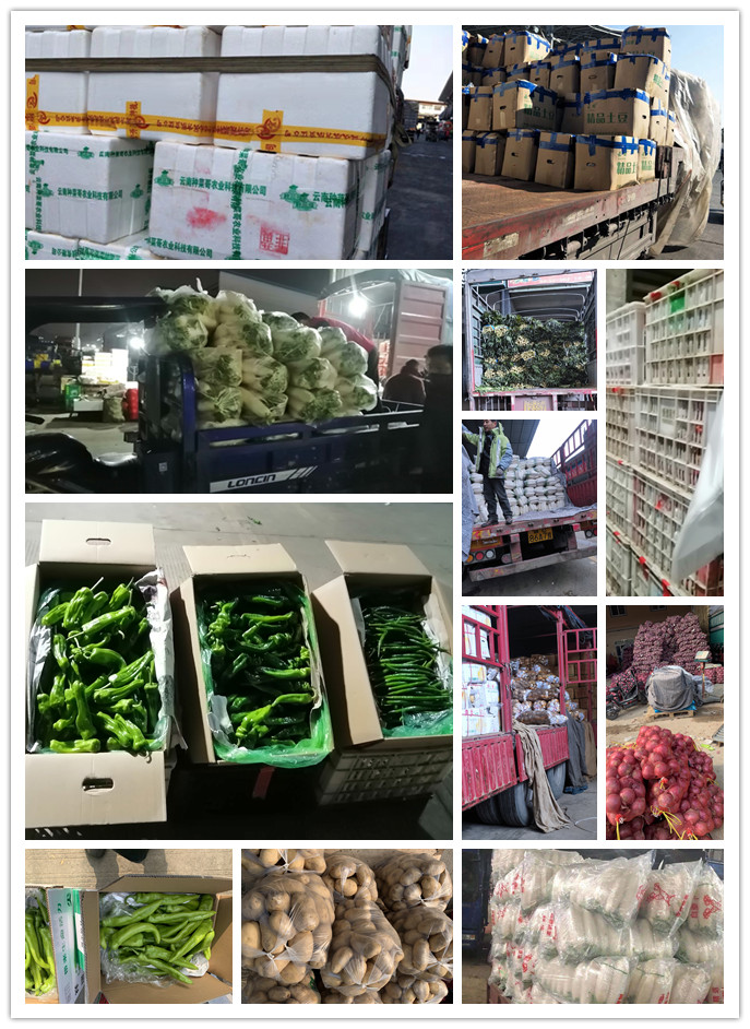 beat·365(中国)唯一官方网站