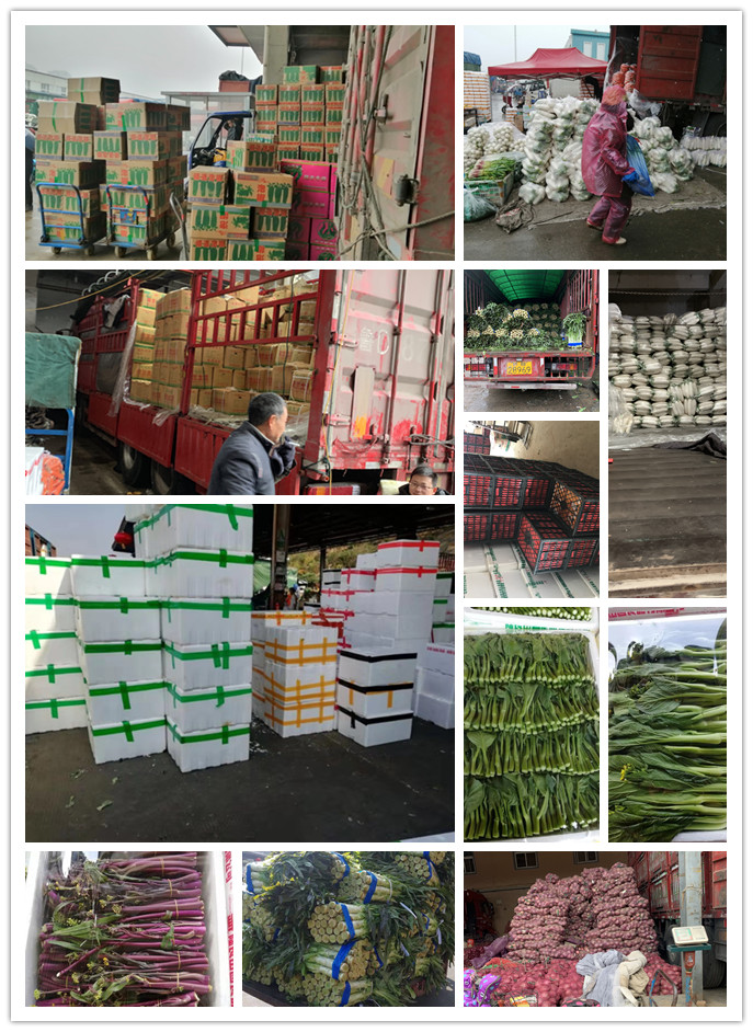 beat·365(中国)唯一官方网站