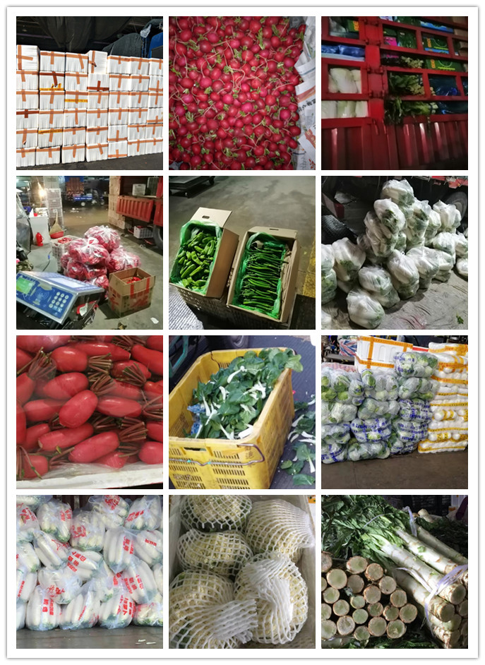 beat·365(中国)唯一官方网站