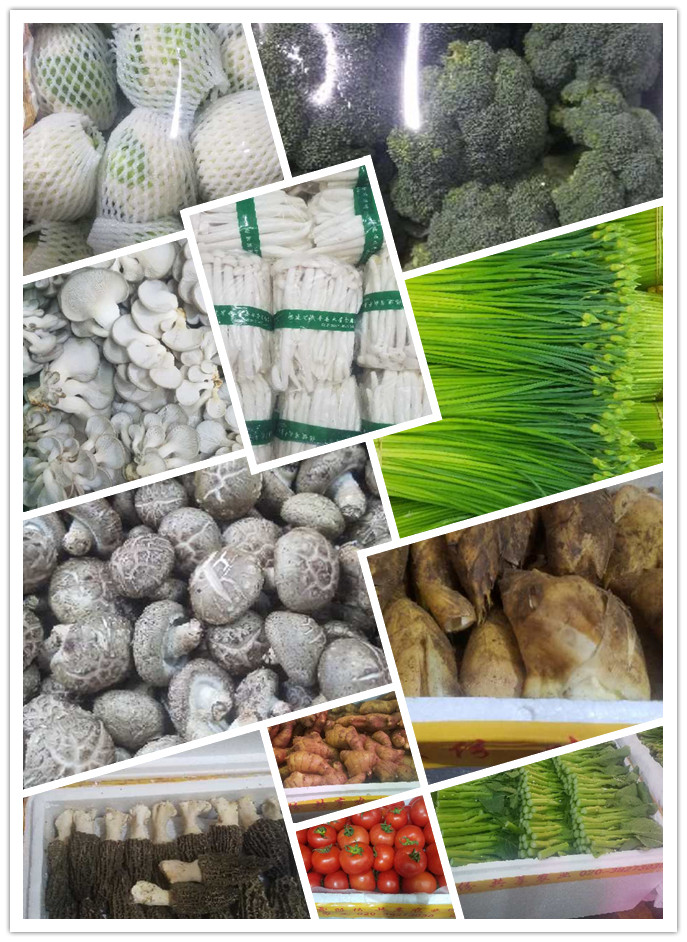 beat·365(中国)唯一官方网站