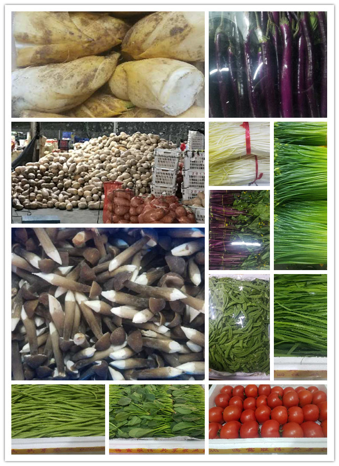 beat·365(中国)唯一官方网站