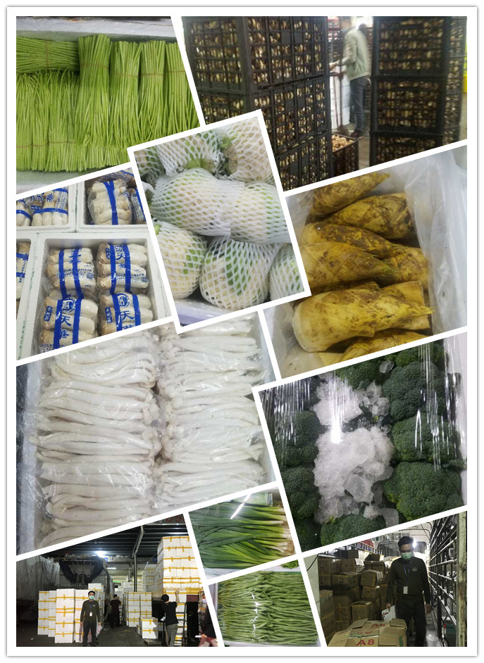 beat·365(中国)唯一官方网站