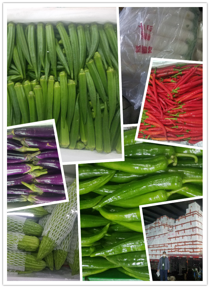 beat·365(中国)唯一官方网站