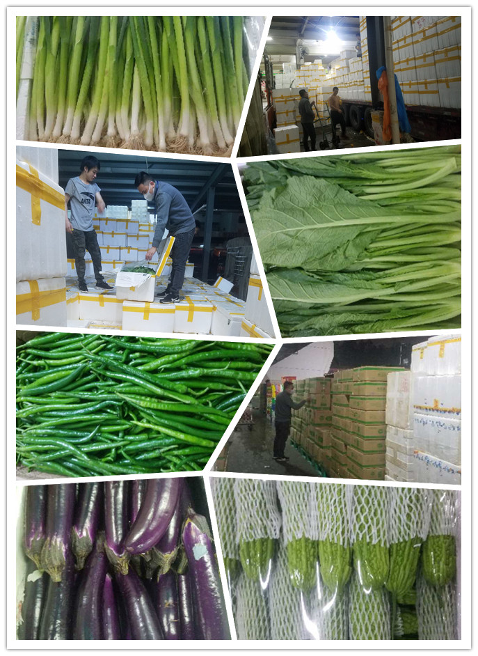 beat·365(中国)唯一官方网站