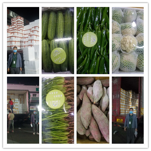 beat·365(中国)唯一官方网站