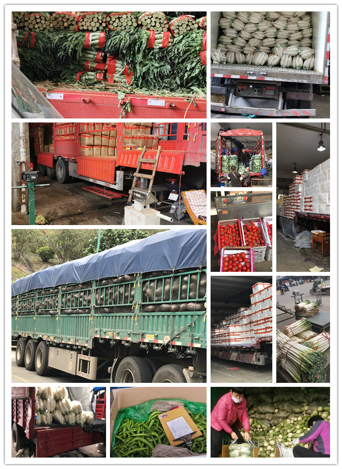 beat·365(中国)唯一官方网站