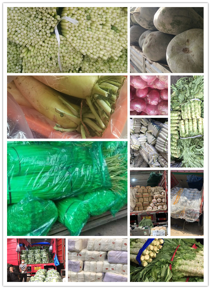 beat·365(中国)唯一官方网站