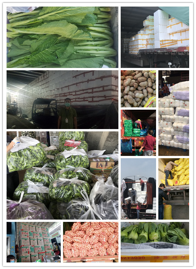 beat·365(中国)唯一官方网站