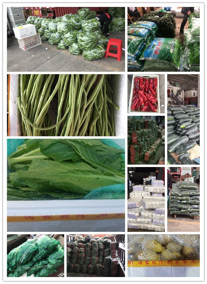 beat·365(中国)唯一官方网站