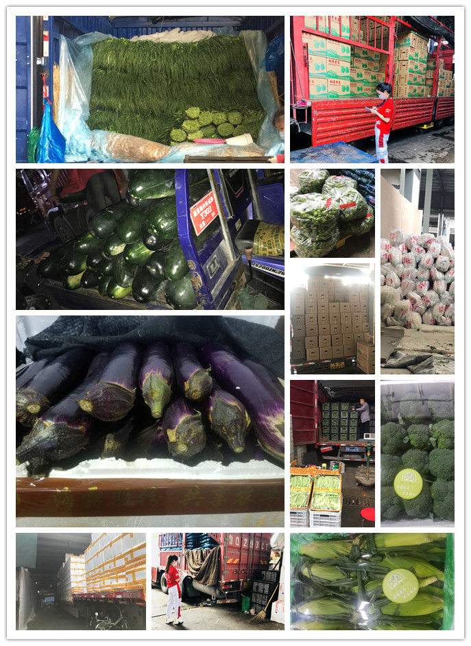 beat·365(中国)唯一官方网站