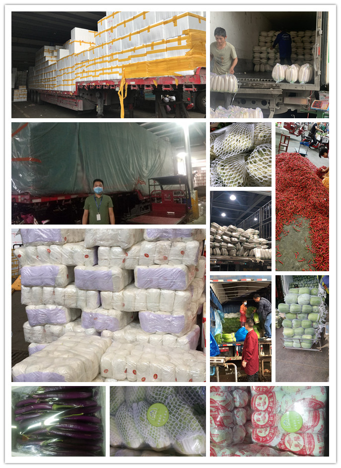 beat·365(中国)唯一官方网站