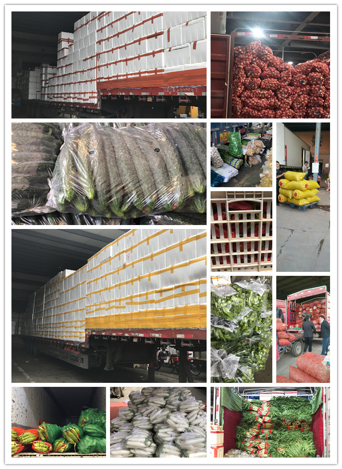 beat·365(中国)唯一官方网站