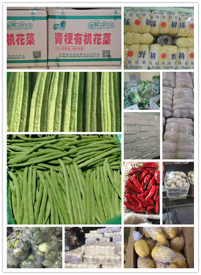 beat·365(中国)唯一官方网站