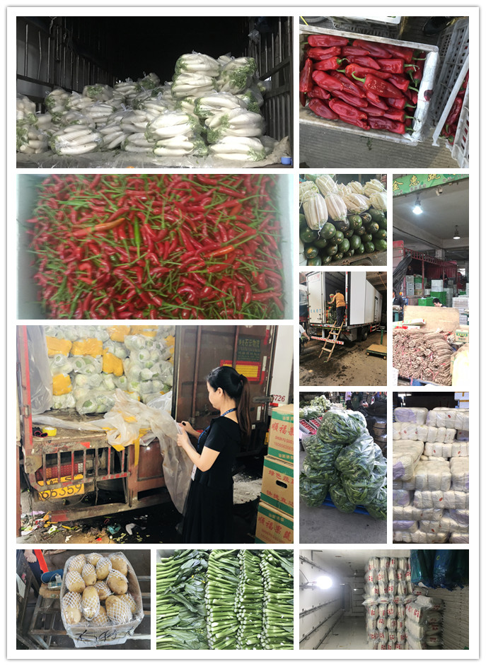 beat·365(中国)唯一官方网站