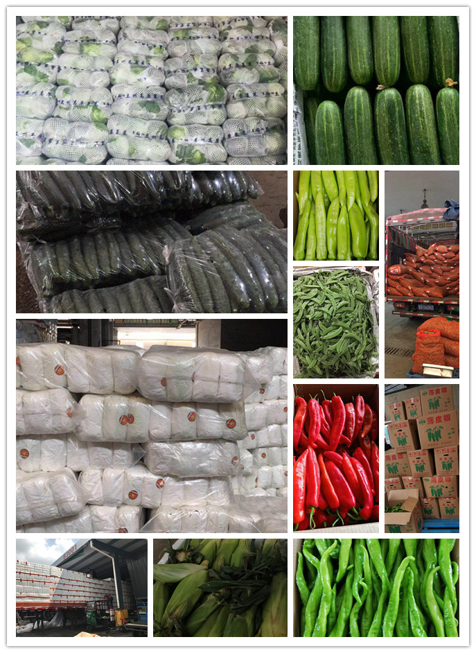 beat·365(中国)唯一官方网站