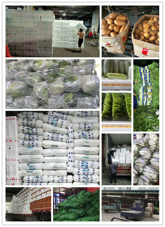 beat·365(中国)唯一官方网站