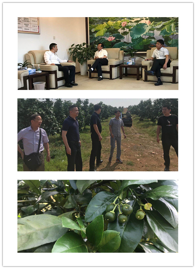 beat·365(中国)唯一官方网站