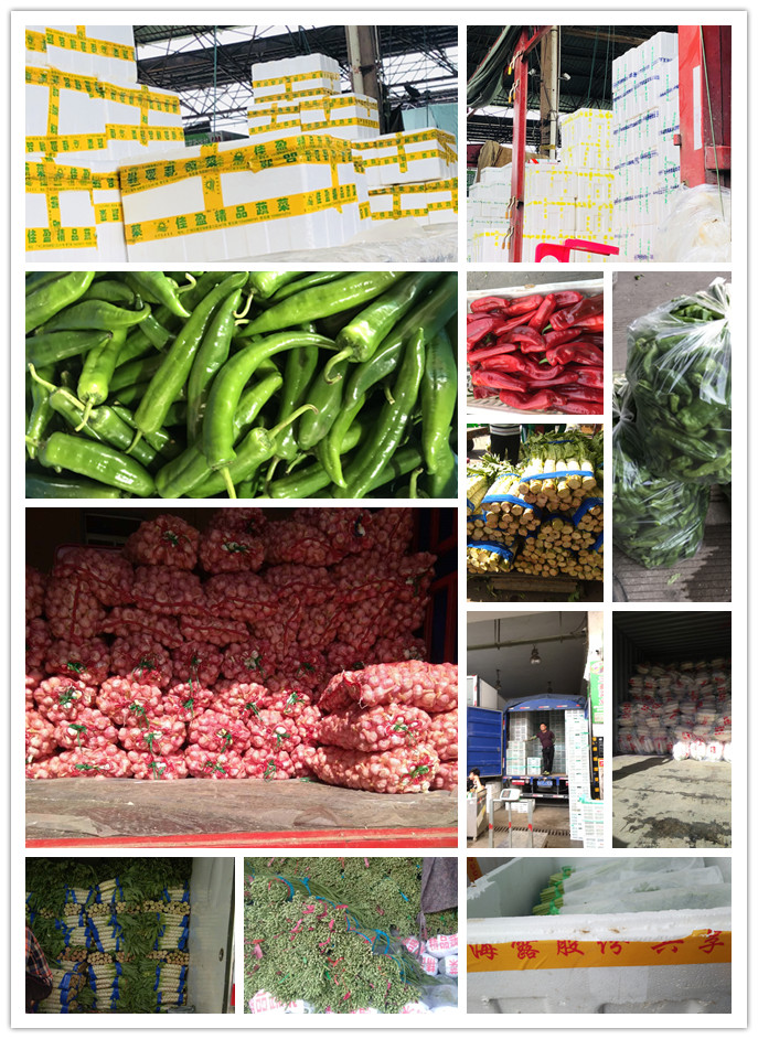 beat·365(中国)唯一官方网站