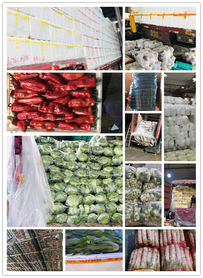 beat·365(中国)唯一官方网站