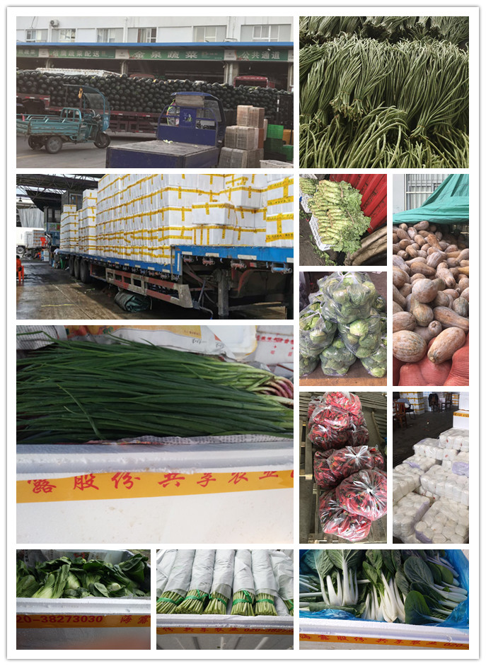 beat·365(中国)唯一官方网站