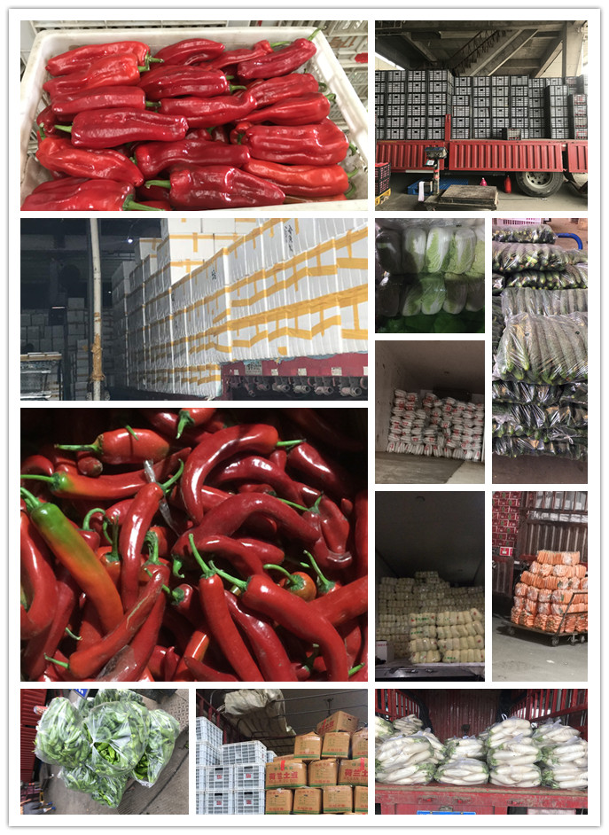 beat·365(中国)唯一官方网站