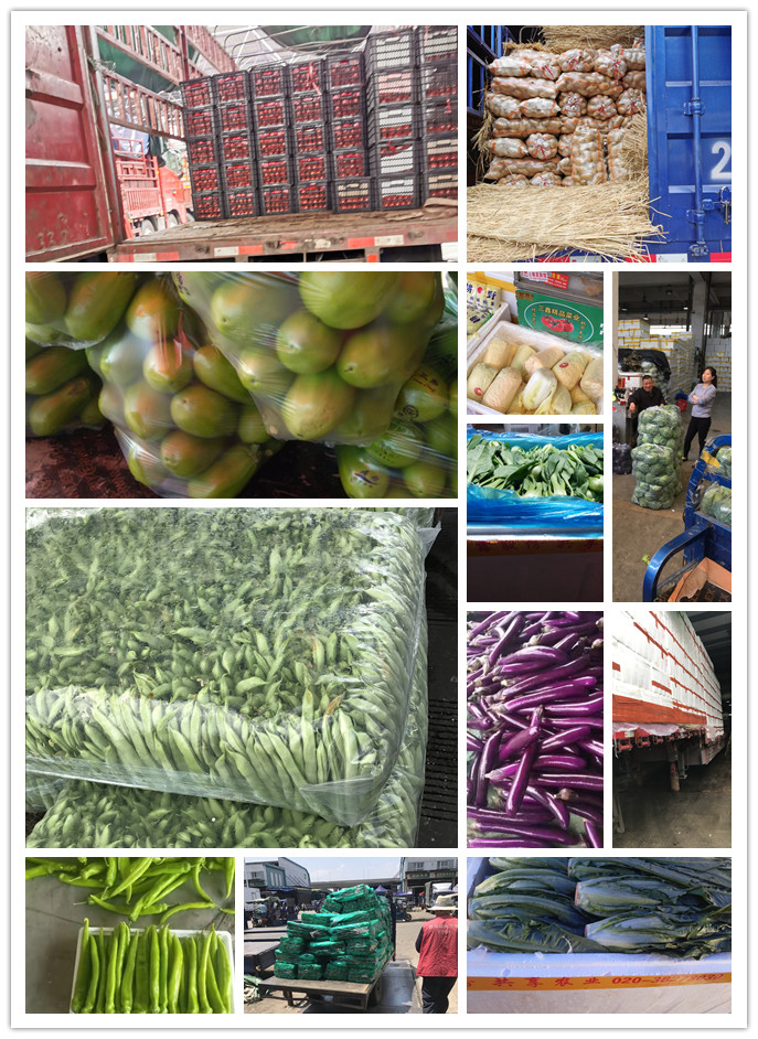 beat·365(中国)唯一官方网站