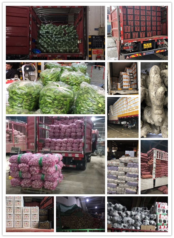 beat·365(中国)唯一官方网站