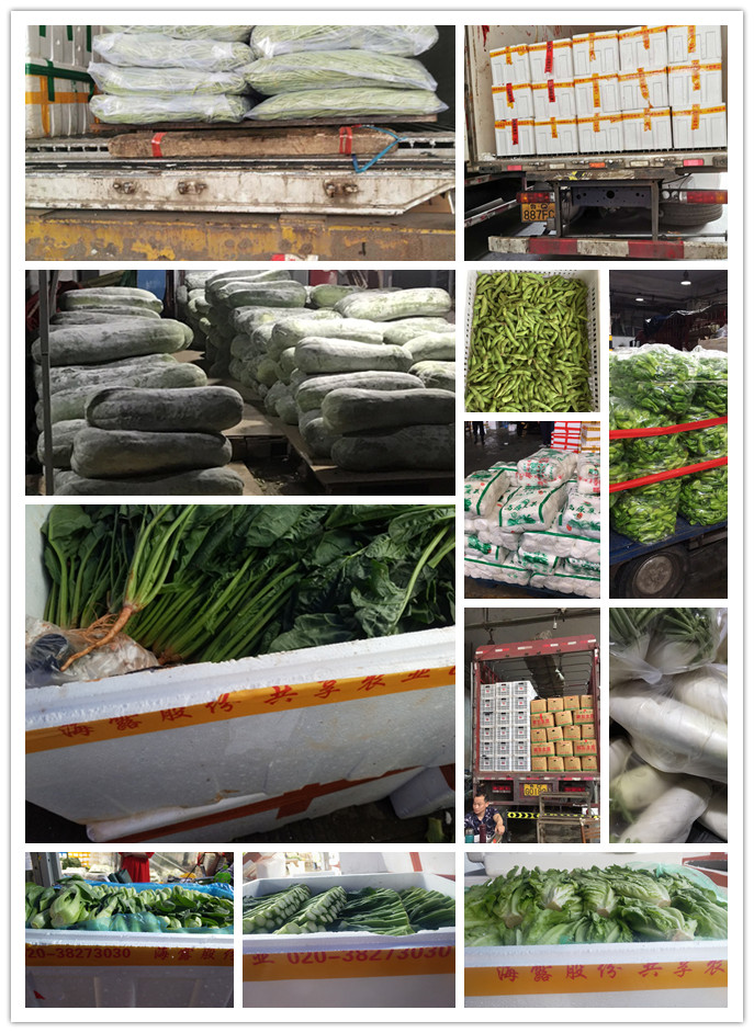 beat·365(中国)唯一官方网站