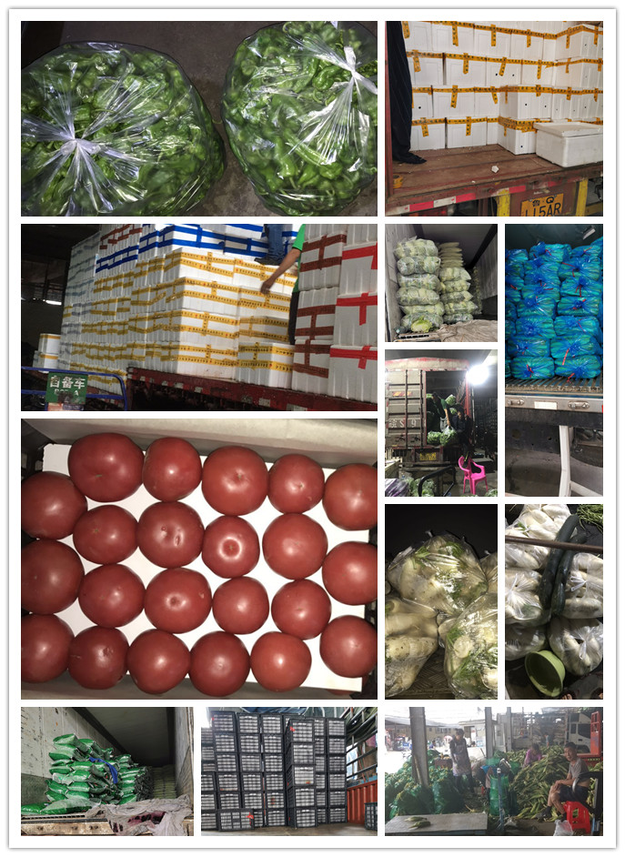 beat·365(中国)唯一官方网站