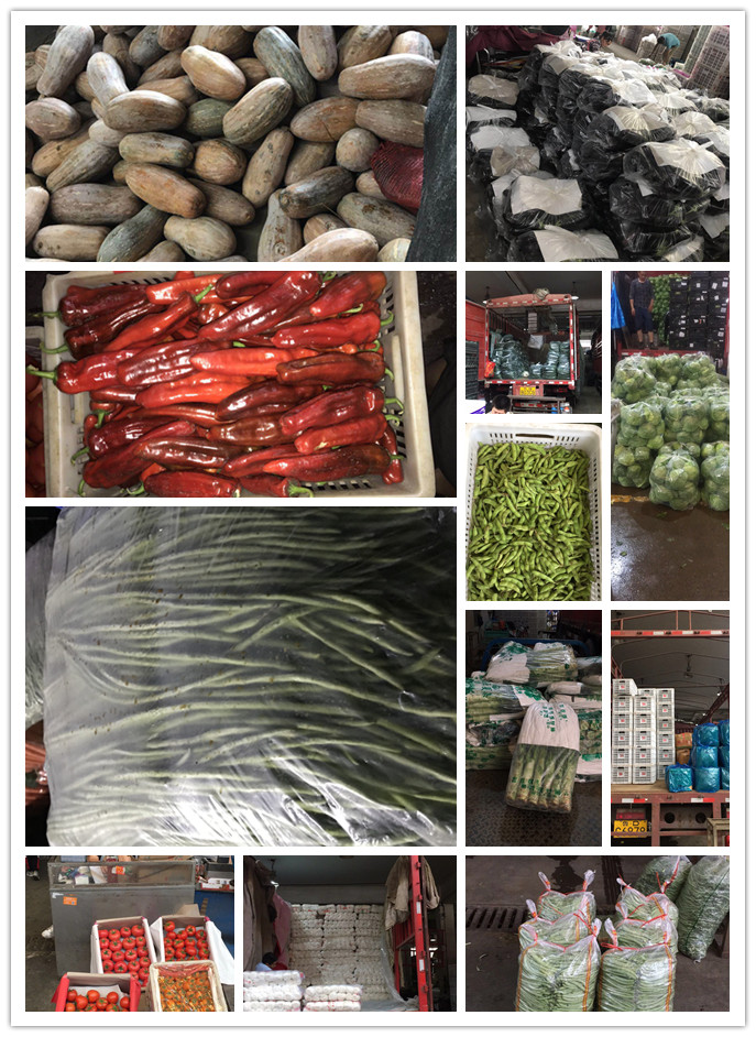 beat·365(中国)唯一官方网站