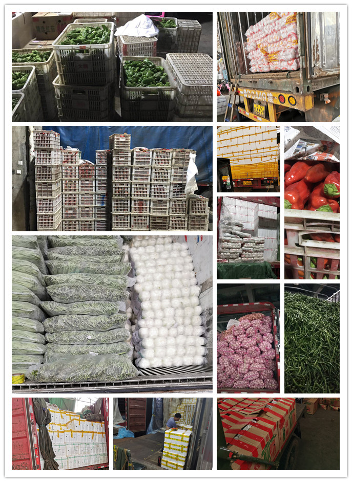 beat·365(中国)唯一官方网站