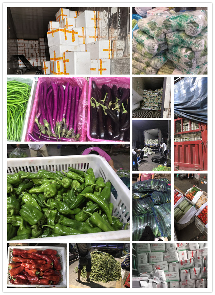 beat·365(中国)唯一官方网站