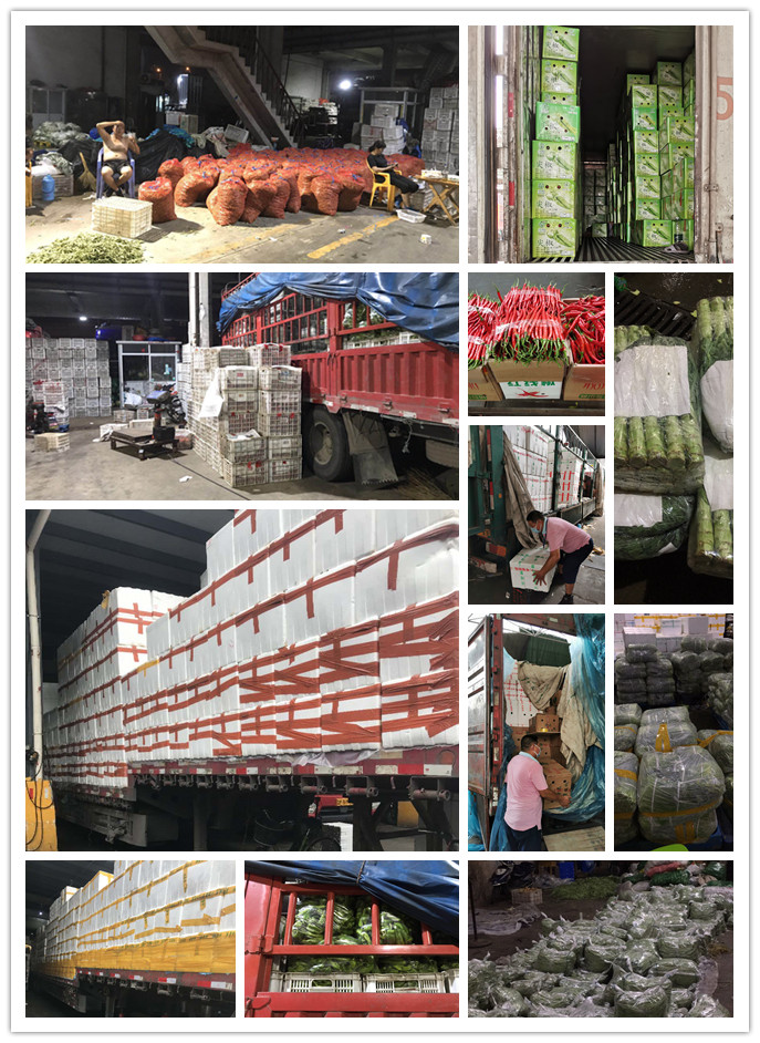 beat·365(中国)唯一官方网站