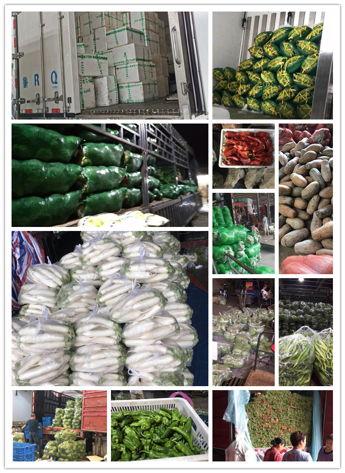 beat·365(中国)唯一官方网站